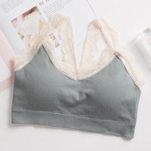 Lace sports bra undergarment top green pink gray womens padded